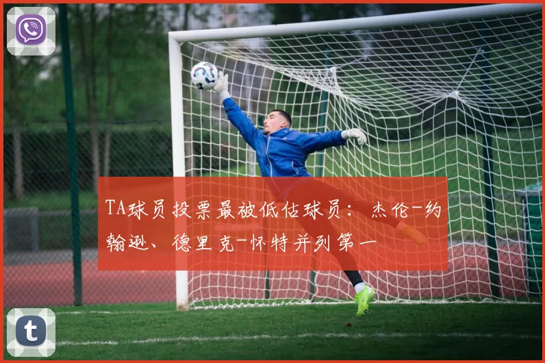 TA球员投票最被低估球员：杰伦-约翰逊、德里克-怀特并列第一